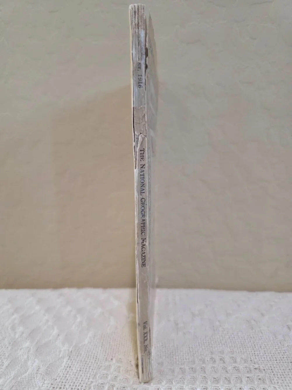 1916 National Geographic November Larger North American Mammals Vol 30 No 5